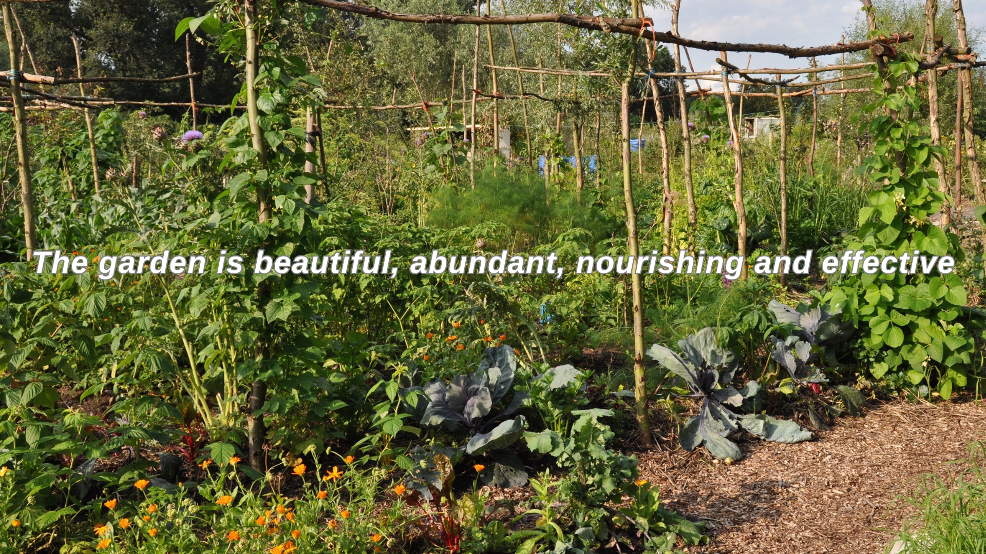 The garden speaks